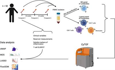 Natural Killer Cell Receptors and Ligands Are Associated With Markers of HIV-1 Persistence in Chronically Infected ART Suppressed Patients